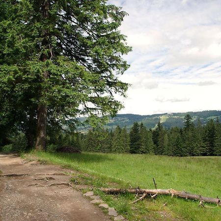 Domek Sekret Zakopane Eksteriør billede