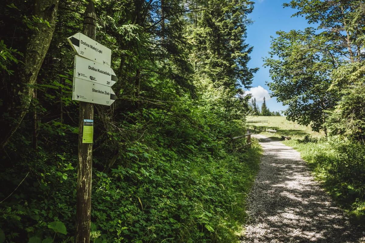 Domek Sekret Zakopane Eksteriør billede
